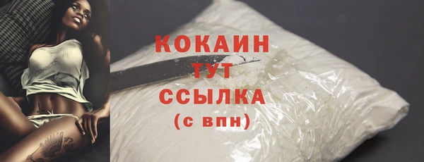 твердый Аркадак