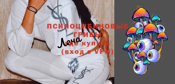 твердый Аркадак