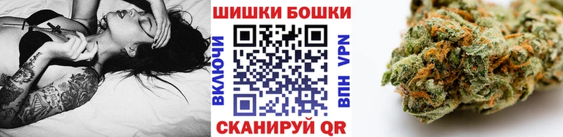 Бошки марихуана Amnesia Каспийск